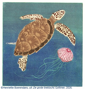 Groene zeeschildpad uit De grote trektocht van Henriette Boerendans, Gottmer, 2026